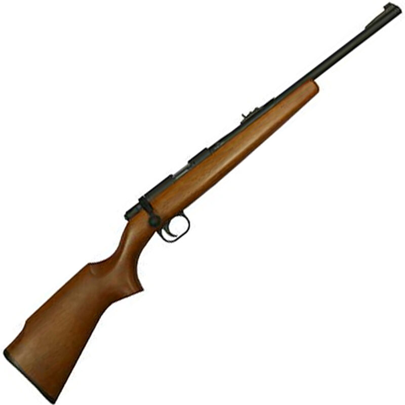 RIA M14Y 22LR YOUTH 10RD - Long Guns