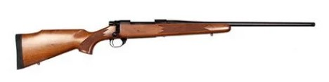 LSI HOWA M1500 22 250 REM 22 - Long Guns