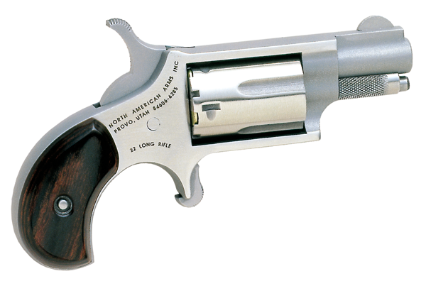 NAA 22LR 1 1/8 SS - Handguns