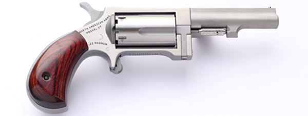 NAA NAA-SW-250 22MG 2.5" SS - Handguns