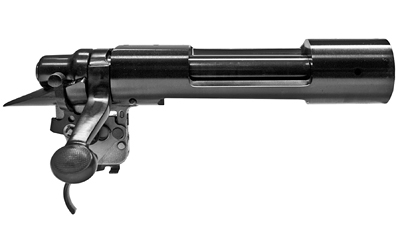 RA 700 ACTION LONG MAGNUM - Long Guns
