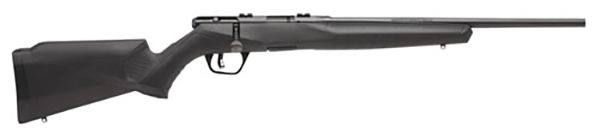 SAV B22 CMPT 22LR 18" 10RD - Long Guns